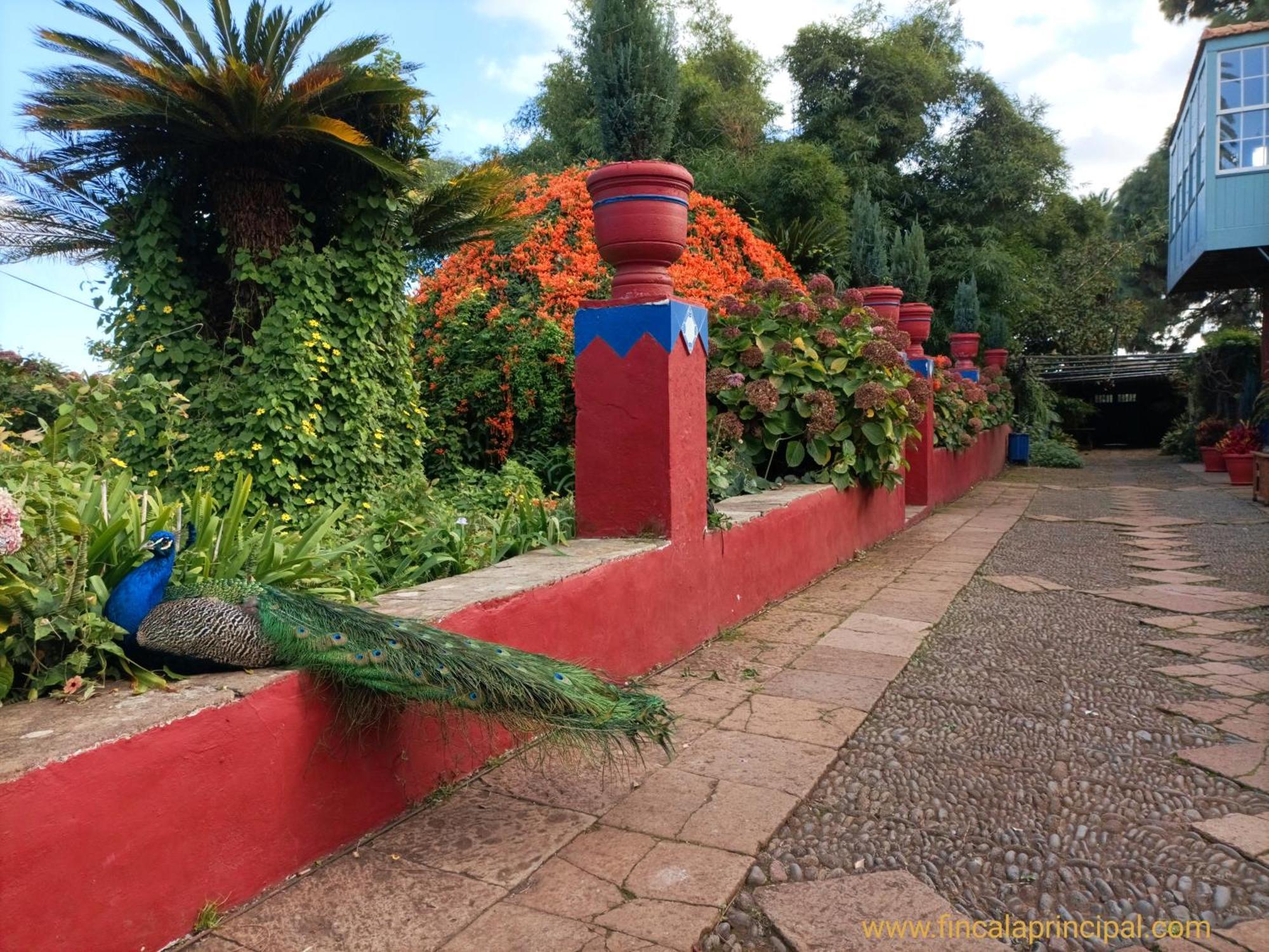 Finca La Principal Breña Alta Buitenkant foto