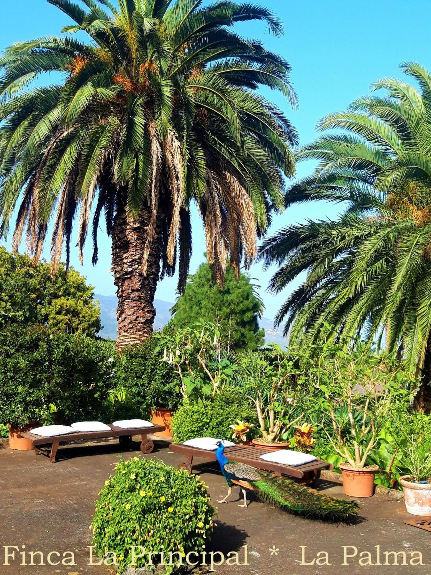 Finca La Principal Breña Alta Buitenkant foto