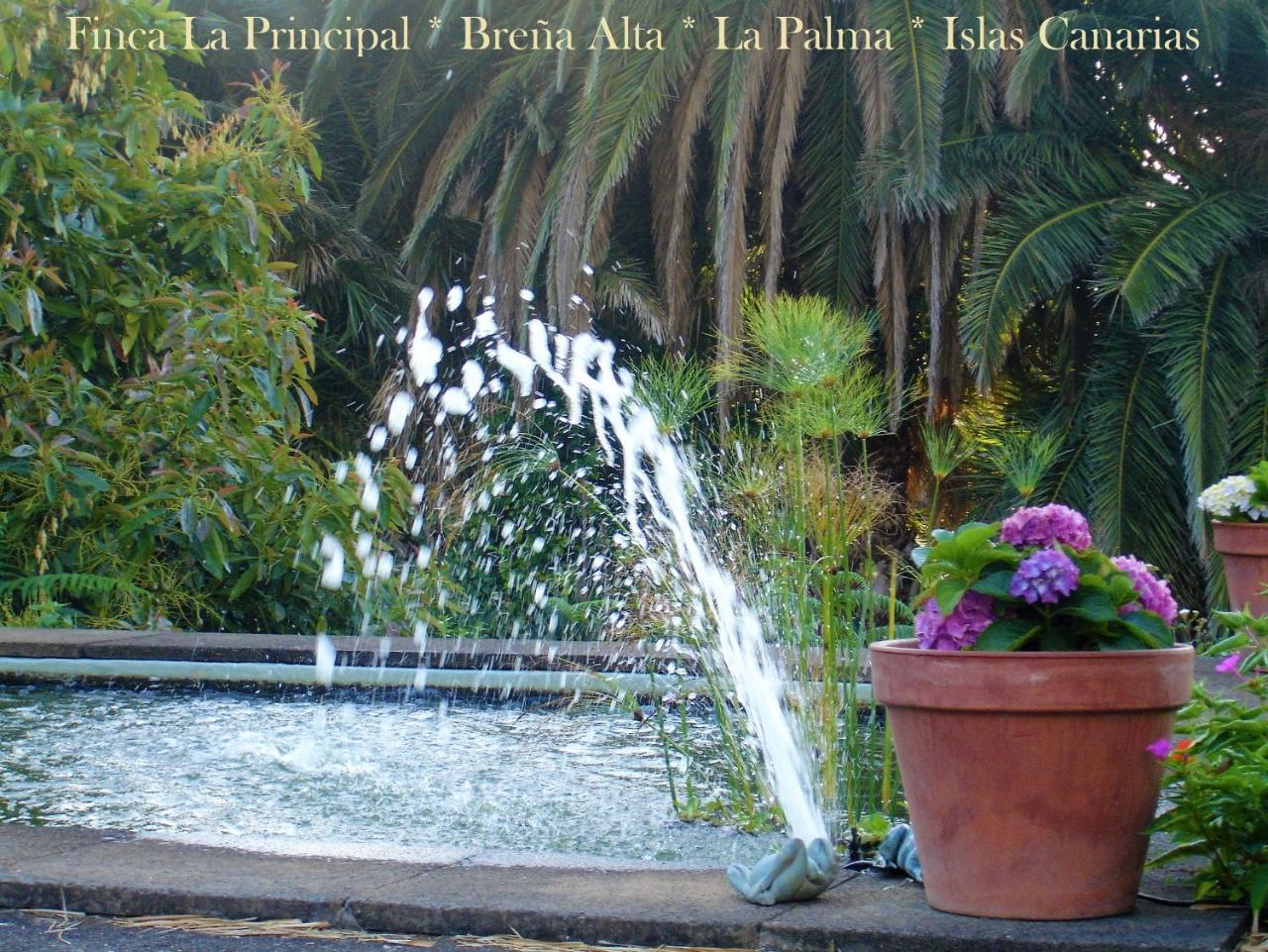 Finca La Principal Breña Alta Buitenkant foto